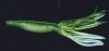 5" CAMO Scatter Tails - Baby Bass