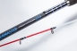Preview: DEGA SEAMASTER Heavy Picker bis 200g - 2,70m