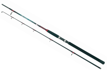 RHINO DF Specialist Big Fish - WG bis 300g Länge 2,40m