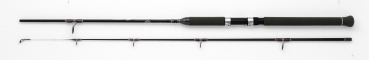 WFT Carbon Never Crack C-NC Universal 20-60g - 2,70m