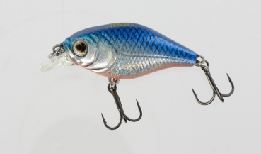 JENZI Corrigator DRAGON DIVER Baby-Trout - 4,5g, 42mm, American Shad - Forellenwobbler Barschwobbler