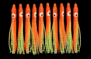 DEGA UV-Oktopus Mini 4,5 cm. 10 Stück Octopus - Gelb/Or.