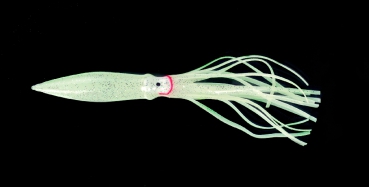 DEGA  Oktopus 16 cm selbstleuchtend