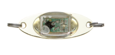 LED Bait Smart Flasher LED -Blinker - Flash-Color Rot