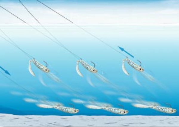 QUANTUM Joker Lure - FIRETIGER - 12 cm - 4 g