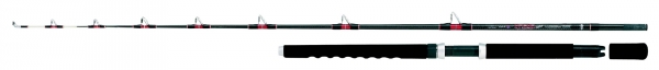 BALZER Magna® MX-5 Advanced Power Tip Fjord 40 - 40 lbs - 2,10 m