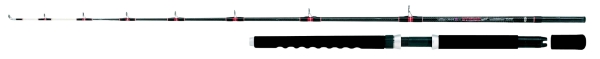 BALZER Magna® MX-5 Advanced Power Tip Fjord 30 - 30 lbs - 2,10 m