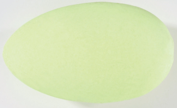 AUFTRIEBSEI FLUORESZIEREND