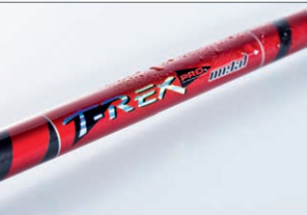 JENZI Spinnrute T-Rex PRO metal Spin LT - 20-40g - 2,45m