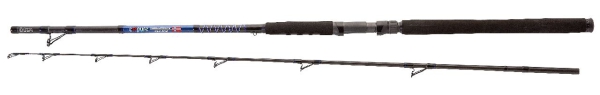 DEGA EXXPURE Megaforce PILK 60-150g - 2,10m