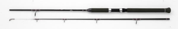 WFT Carbon Never Crack C-NC Universal 20-60g - 2,70m