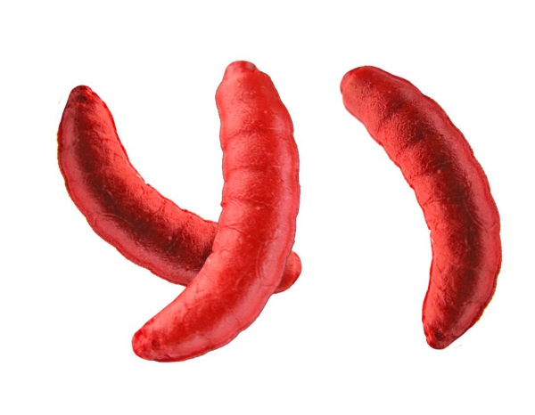 JENZI Tasty Gums Type 4 Maden-Aroma - Kunstmaden rot