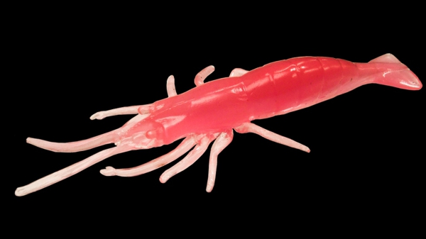 5 Stück JENZI UV-Shrimp - Real Shrimp Imitat mit UV 10 cm Pink