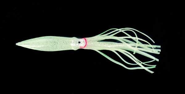 DEGA  Oktopus 16 cm selbstleuchtend