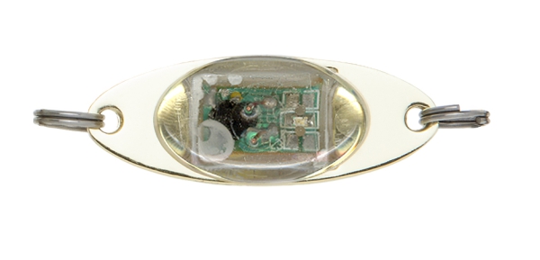 LED Bait Smart Flasher LED -Blinker - Flash-Color Rot