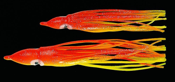 Octopus - orange-gelb