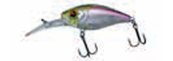 GUNKI Gigan 50 F Rain Wakasaki