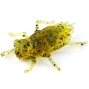 FishUp 0.75" Dragonfly 2cm - 12 Stück - Farbe 036 - Caramel/Green