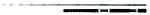 BALZER Magna® MX-5 Advanced Power Tip Fjord 30 - 30 lbs - 2,10 m
